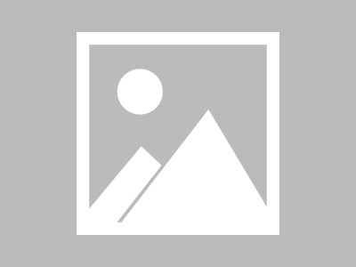 案例，商贸公司如何构建高效文化生态系统